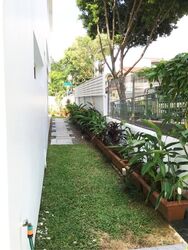Shamrock Park (D10), Terrace #574052531